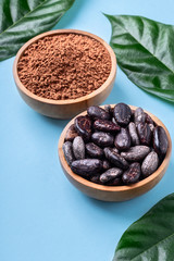 Cacao powder and whole cacao beans in wooden bowls with original fresh leaves on blue background.