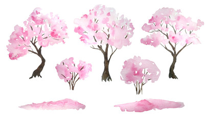 Watercolor hand drawn design elements illustration of pink cherry sakura tree in bloom blossom flowers, fallen petals, bushes. Hanami festival traditional japan japanese culture. Nature landscape © Marina Lahereva