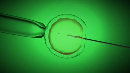 In vitro fertilization, artificial insemination. 3D-rendering.