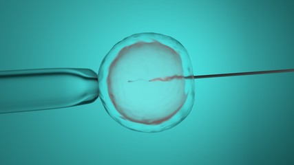 In vitro fertilization, artificial insemination. 3D-rendering.