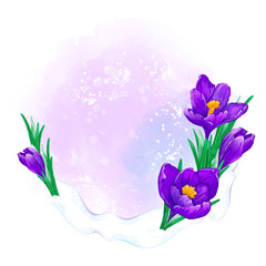 Spring frame for text or photo with purple crocuses and watercolor texture. Floral design.