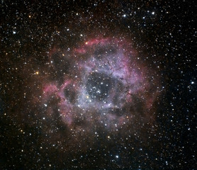 Rosette nebula (NGC 2244)