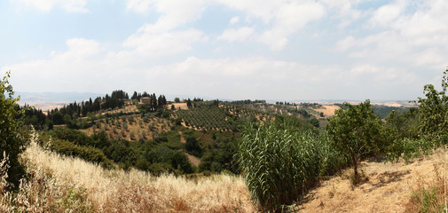 Picturesque panoramic view of Tuscan landscape with house, trees and vineyards. Italy.