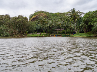 Wailua River Cruise & Grotto Tour takes you on a cruise down the Wailua River to the botanical beauty of Fern Grotto on Kauai.