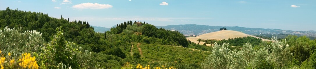 Fototapeta na wymiar Panoramic summer view of Tuscan landscape. Volterra suburbs. Italy.