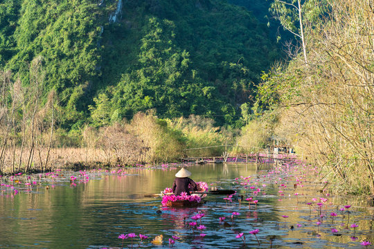 Yen stream, with traditional boat on the way to Huong ancient pagoda. Blossoming water lily on the river. Vietnam beautiful landscape
