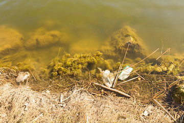 contaminated water on the river bank with plastic residues and packaging