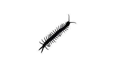 Centipede animal bug symbol zoo icon nature