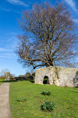 Fototapeta na wymiar Lewes Priory in Sussex