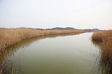 소래습지생태공원입니다