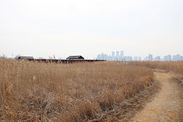 소래습지생태공원입니다