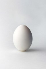 white egg