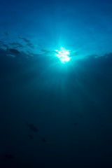 Fototapeta na wymiar Underwater blue background and sunburst 