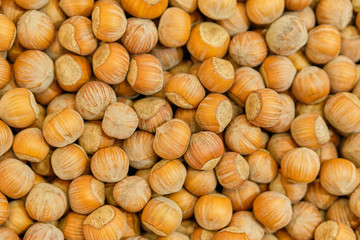 Background texture of hazelnut nuts. Top view.