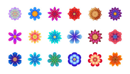 Fototapeta na wymiar floral set, colorful flowers on white background, different flowers collection, beautiful assorted flowers 