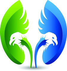 Obraz premium kidney shape & eagle logo