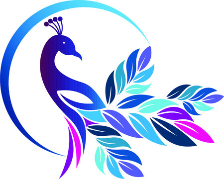 colorful peacock logo