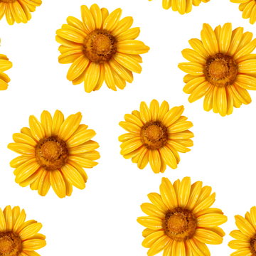 Sunflower seamless pattern. Background with yellow flowers