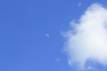 Young month against the blue sky with a small white cloud.