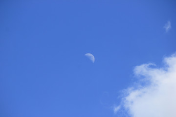 Young month against the blue sky with a small white cloud.