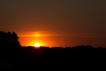 A fiery sunset behind dark forest