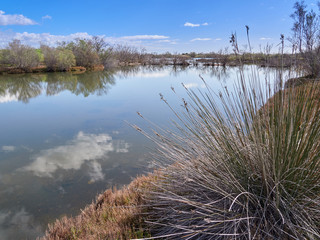 protected area mouth of the river Guadalhorce, malaga