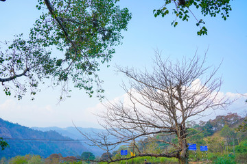 Famous, beautifut and ever green hill station, Munnar, in Kerala, South India