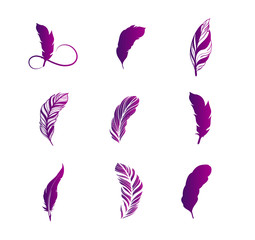 Large set of feathers purple gradient design. Happy Writer Day, community of writers. Vintage feather flat vector icon