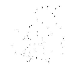 Flock of birds flying in the sky. Black silhouettes isolated on white background. Set of cut out shapes or graphic elements.