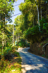 Mountain roads of Munnar with tea estates on both sides provides a breathtaking view to the tourists.
