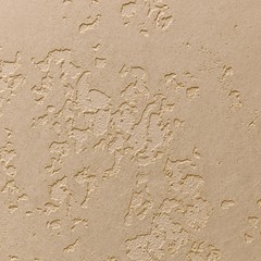 The plaster is a matte sandy texture rough in the hollows and with a smooth top level.