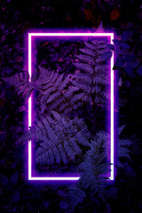 Сreative fluorescent color layout.Neon light flat square frame on fern bush leaves background in dark color palette copy space for banner, poster, card, sale advertisement,party  invitation