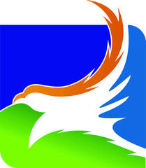 bird logo