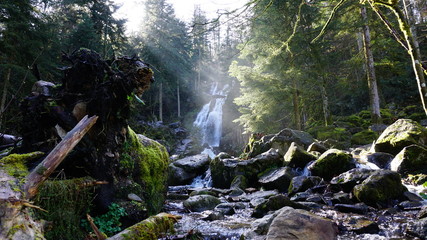 cascade for&ecirc;t ruisseau