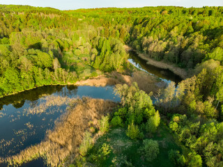 Beautiful aerial forest scene in summer. Green trees and river on sunny summer day.