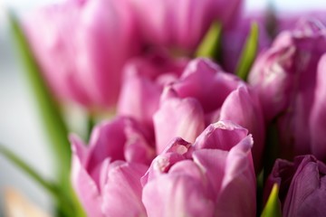 closeup of pink flower