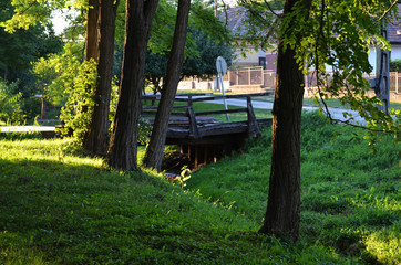 bridge in the park with trees