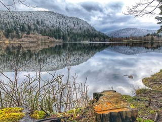 lac reflet arbre enneig&eacute; nature magnifique