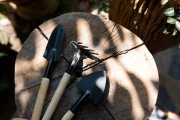 Mini set of tool for gardener on wooden sunlight