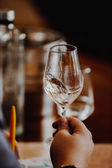 White and rose wine close up view glass and carafe wine. 