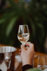 White and rose wine close up view glass and carafe wine. 