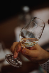 White and rose wine close up view glass and carafe wine. 