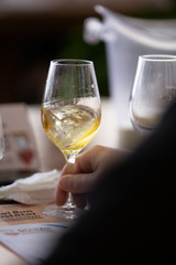 White and rose wine close up view glass and carafe wine. 