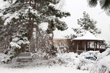 Beautiful winter day is in the city.