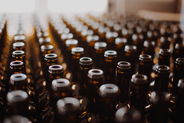 Industrial view bottle wine. Close up winery factory. 