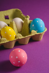 Colorful polka dot Easter eggs in egg tray on purple violet plain background, greeting card, copy space, macro angle view