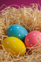 Colorful polka dot Easter eggs in wooden nest on pink purple plain background, greeting card, angle view