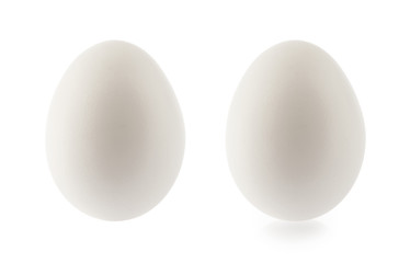 chicken egg isolated on white background without shadow