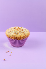 Muffin Cake with Walnuts, powdered with icing sugar, on purple background.