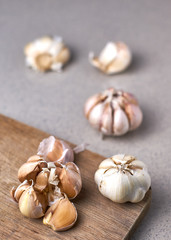 garlic on a wooden board in gray background